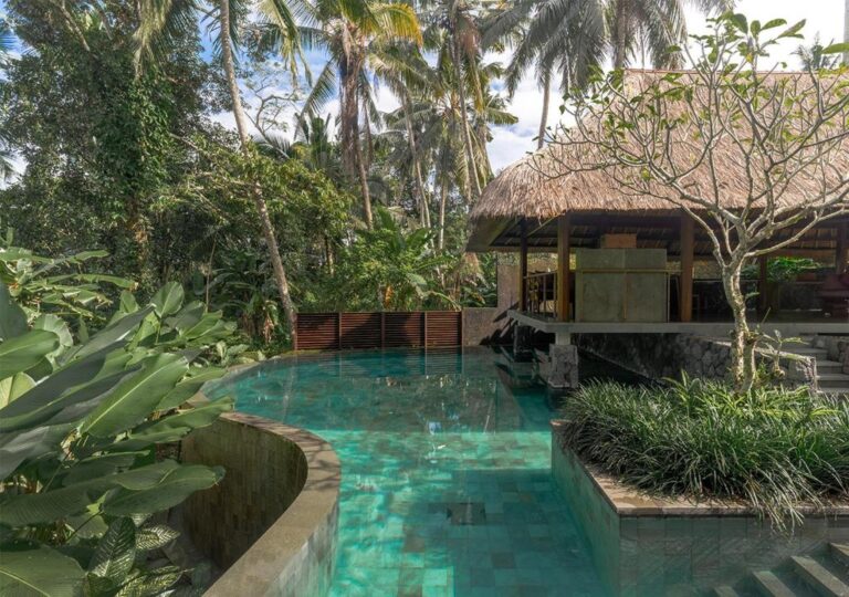 Ubud’s Best Jungle Retreats: Hotels and Villas with Stunning Views